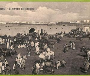 af5937 - LIBYA - VINTAGE POSTCARD - Bengasi