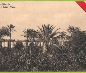 af5880 - LIBYA - VINTAGE POSTCARD - Bengasi - 1912