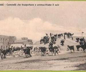 af5974 - LIBYA - VINTAGE POSTCARD - Bengasi - 1912