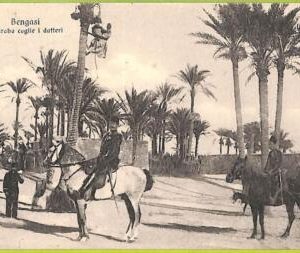 af5932 - LIBYA - VINTAGE POSTCARD - Bengasi - 1912