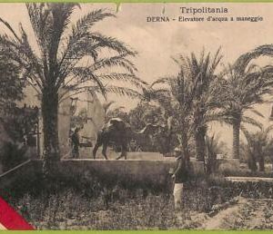af5997 - LIBYA - VINTAGE POSTCARD - Derna - 1913