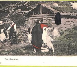 ad1905 - NORWAY - VINTAGE POSTCARD - Paa Saeteren, Ethnic