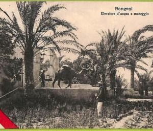 af5908 - LIBYA - VINTAGE POSTCARD - Bengasi - 1912