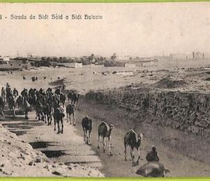 af5917 - LIBYA - VINTAGE POSTCARD - Bengasi - 1913