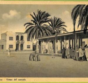 af6059 - LIBYA - VINTAGE POSTCARD - Zuara