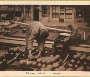 ad2035 - NETHERLANDS - VINTAGE POSTCARD  - Alkmaar, Chees market