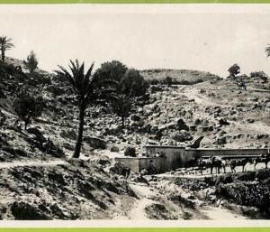 af6040 - LIBYA - VINTAGE POSTCARD - Garian
