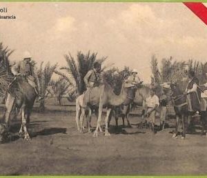 af6140 - LIBYA - VINTAGE POSTCARD - Tripoli