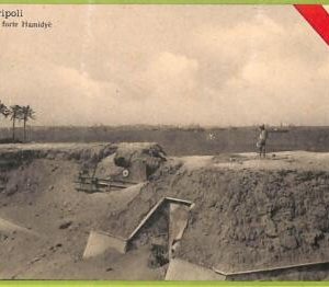 af6142 - LIBYA - VINTAGE POSTCARD - Tripoli