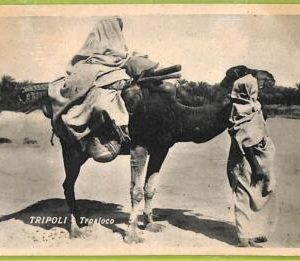 af6120 - LIBYA - VINTAGE POSTCARD - Tripoli