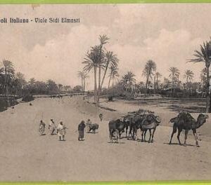 af6122 - LIBYA - VINTAGE POSTCARD - Tripoli - 1912