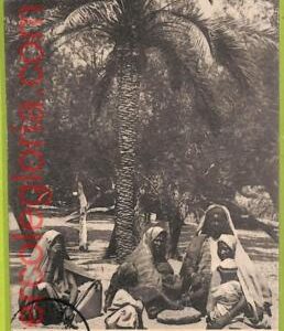 af6023 - LIBYA - VINTAGE POSTCARD - Derna - 1912