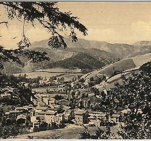 49559   CARTOLINA d'Epoca - PRATO provincia - Montepiano
