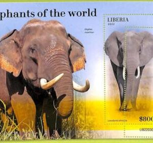 B0506 - LIBERIA - ERROR MISPERF Stamp Sheet - 2022 - Elephants of the world