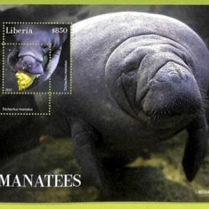 B0498 - LIBERIA - ERROR MISPERF Stamp Sheet - 2022 - Animals,Manatees