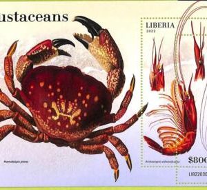 B0507 - LIBERIA - ERROR MISPERF Stamp Sheet - 2022 - Crustaceans