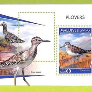 B0557 - MALDIVES - ERROR MISPERF Stamp Sheet - 2018 - BIRDS, PLOVERS