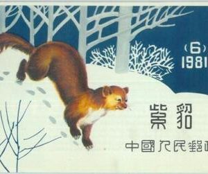 89677  - CHINA - Collectable Stamps - BOOKLET 1981 - Animals SABLE  MNH