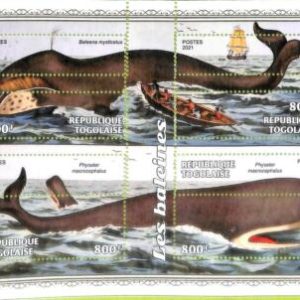 A8858 - TOGO  -ERROR MISPERF Stamp Sheet - 2021 Whales marine mammals