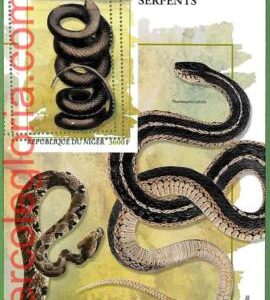 B1676 - NIGER - ERROR MISPERF Stamp Sheet - 2023 - Repltiles, Snakes