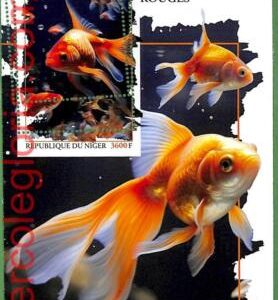 B1678 - NIGER - ERROR MISPERF Stamp Sheet - 2023 - Fishes, Marine Life