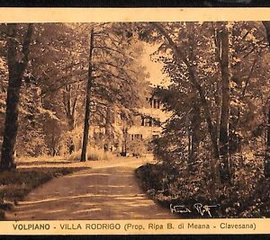 ab3931 -  CARTOLINA  D'EPOCA - Torino  Provincia - Volpiano