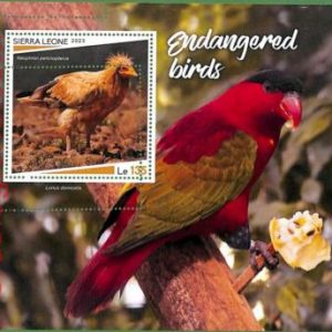 B1797 - SIERRA LEONE - ERROR MISPERF Stamp Sheet - 2023 - Birds