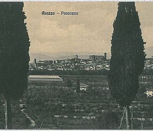 31965  CARTOLINA d'Epoca AREZZO città - PANORAMA