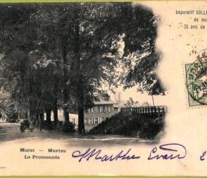 ad6594 - SWITZERLAND Schweitz - Ansichtskarten VINTAGE POSTCARD - Morat (Murten)
