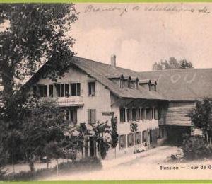 ad6616 - SWITZERLAND Schweitz - Ansichtskarten VINTAGE POSTCARD - Gourze - 1917