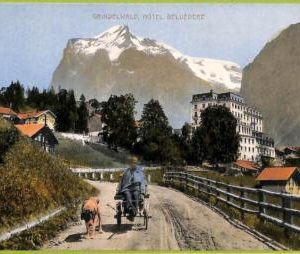 ad5754 - SWITZERLAND Schweitz - Ansichtskarten VINTAGE POSTCARD - Grindelwald