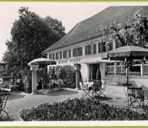 ad6628 - SWITZERLAND Schweitz - Ansichtskarten VINTAGE POSTCARD - Riburg