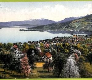 ad6627 - SWITZERLAND Schweitz - Ansichtskarten VINTAGE POSTCARD-Richterswil-1909