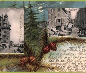 ad5812 - SWITZERLAND Schweitz - Ansichtskarten VINTAGE POSTCARD - Geneve - 1905
