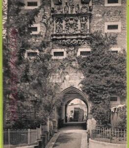 ad6650 - SWITZERLAND Schweitz - Ansichtskarten VINTAGE POSTCARD - St.Gallen-1909