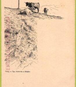 ad6706 - SWITZERLAND Schweitz - Ansichtskarten VINTAGE POSTCARD - Vevey