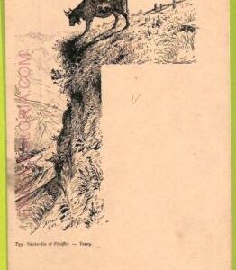 ad6705 - SWITZERLAND Schweitz - Ansichtskarten VINTAGE POSTCARD - Vevey