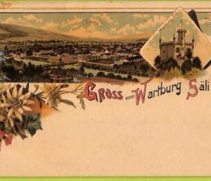 ad6730 - SWITZERLAND Schweitz - Ansichtskarten VINTAGE POSTCARD - Wartburg Sali