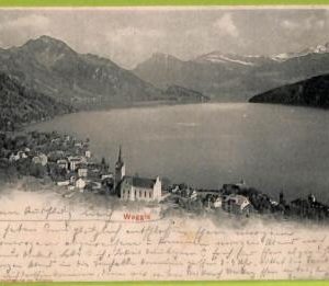 ad6727 - SWITZERLAND Schweitz - Ansichtskarten VINTAGE POSTCARD - Weggis - 1901