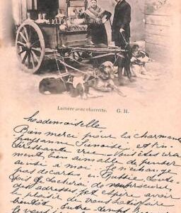 ac0109  - BELGIUM - Carte Postal  VINTAGE  POSTCARD - 1899 DOG CART Ethnic