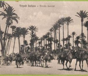 af6222 - LIBYA - VINTAGE POSTCARD - Tripoli - 1911