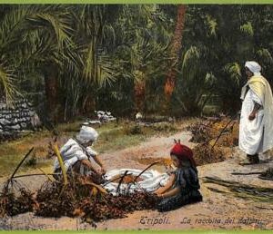 af6220 - LIBYA - VINTAGE POSTCARD - Tripoli