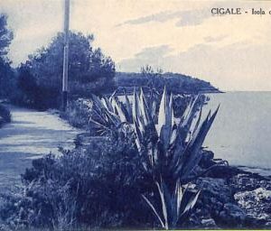 ac2009 - Ansichtskarten  VINTAGE  POSTCARD - CROATIA - Cigale