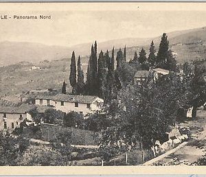 49602  CARTOLINA d'Epoca - FIRENZE provincia : FIESOLE - Panorama Nord