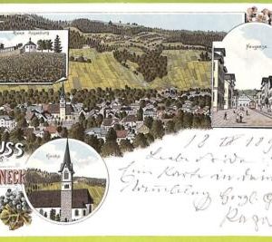 Lib7902 - SWITZERLAND - VINTAGE POSTCARD - Gruss aus Berneck - 1898