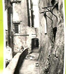 aa9306- CARTOLINA D'EPOCA  GENOVA Città : Passo delle Murette