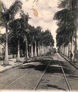 ac1536 - BRAZIL - VINTAGE POSTCARD  -  Para - 1907