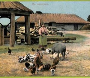 ae8609 - Ansichtskarten VINTAGE POSTCARD - UKRAINE - Ethnic