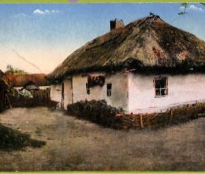 ae8614 - Ansichtskarten VINTAGE POSTCARD - UKRAINE - Ethnic - 1916
