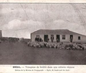 ac1508 - BRAZIL - VINTAGE POSTCARD  -  ETHNIC - 1912
